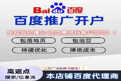 百度推广在旅游行业的应用及效果评估